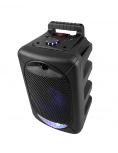 ALTAVOZ PORTÁTIL WIRELESS CON MICROFONO Y SALIDA DE 20W... 2