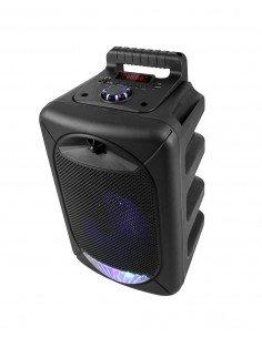 ALTAVOZ PORTÁTIL WIRELESS CON MICROFONO Y SALIDA DE 20W... 2