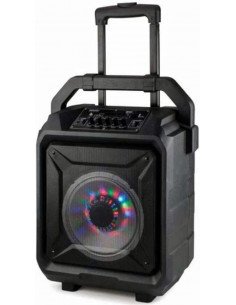 ALTAVOZ PARTY KARAOKE CON DISCOS DE LUCES LED (40W)...
