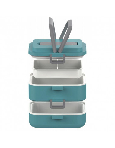 FIAMBRERA DOBLE, ASA DE TRANSPORTE,...